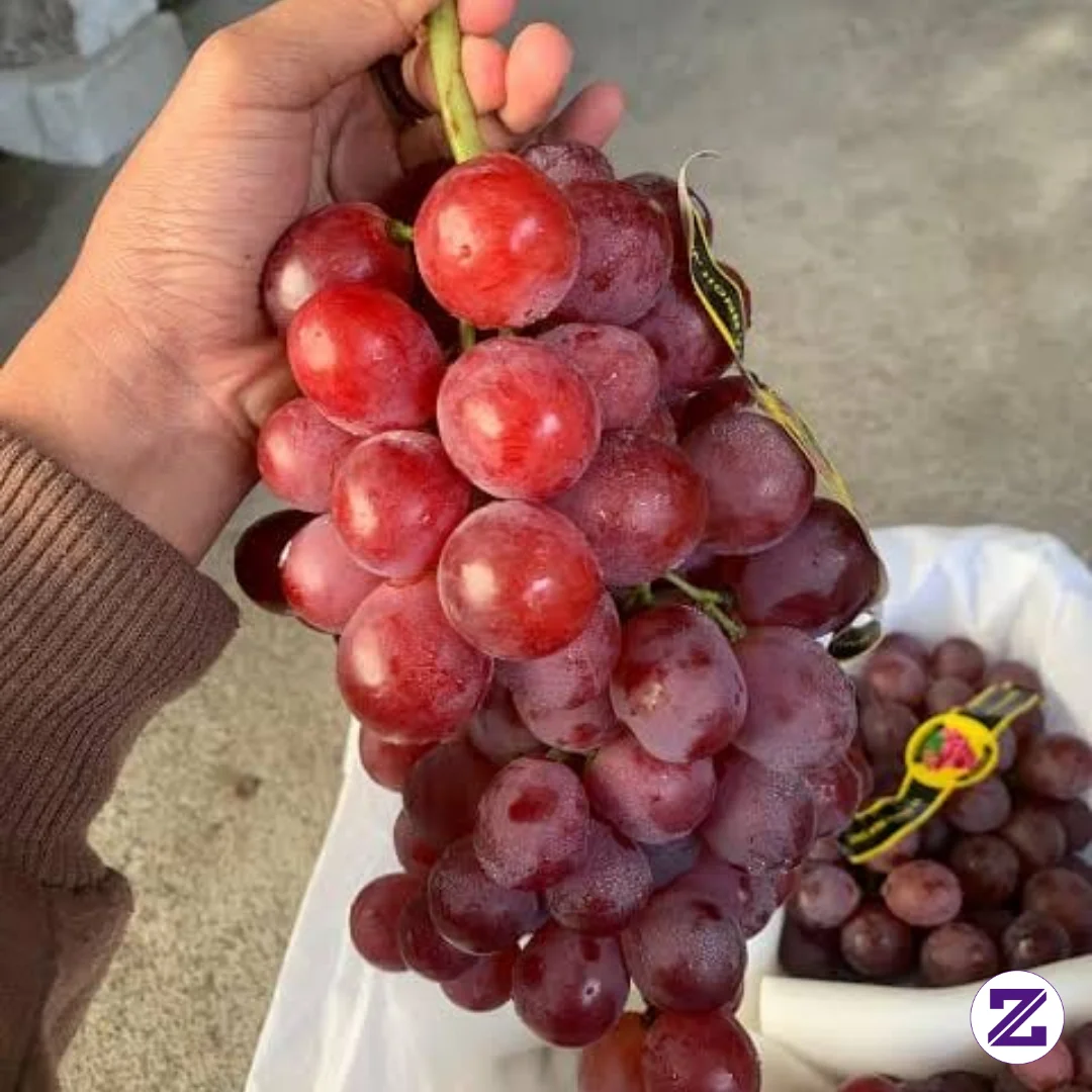 Buah Anggur Merah Nih Kesukaan Aku Yg Rasanya Manis Dan Segar Sekali,mantap