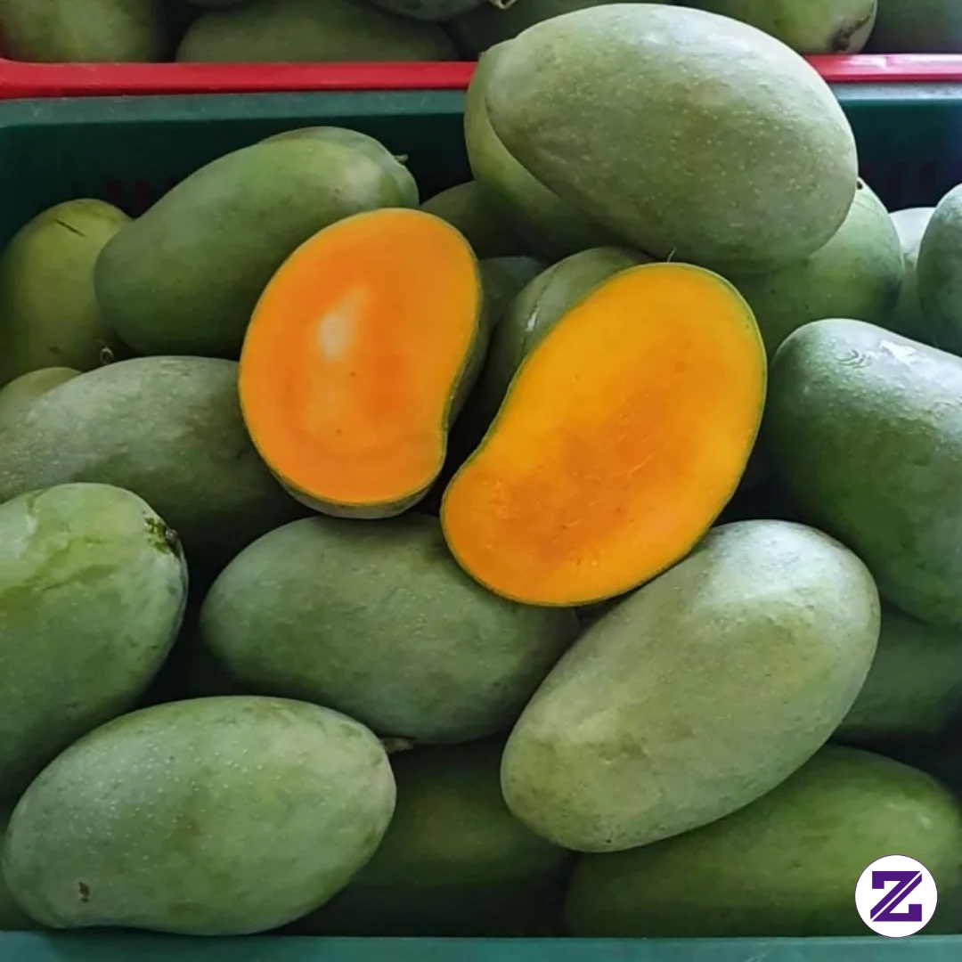 Panas Gini Enak Banget Nih Mkan Buah Mangga Seger Banget,yang Rasanya Manis