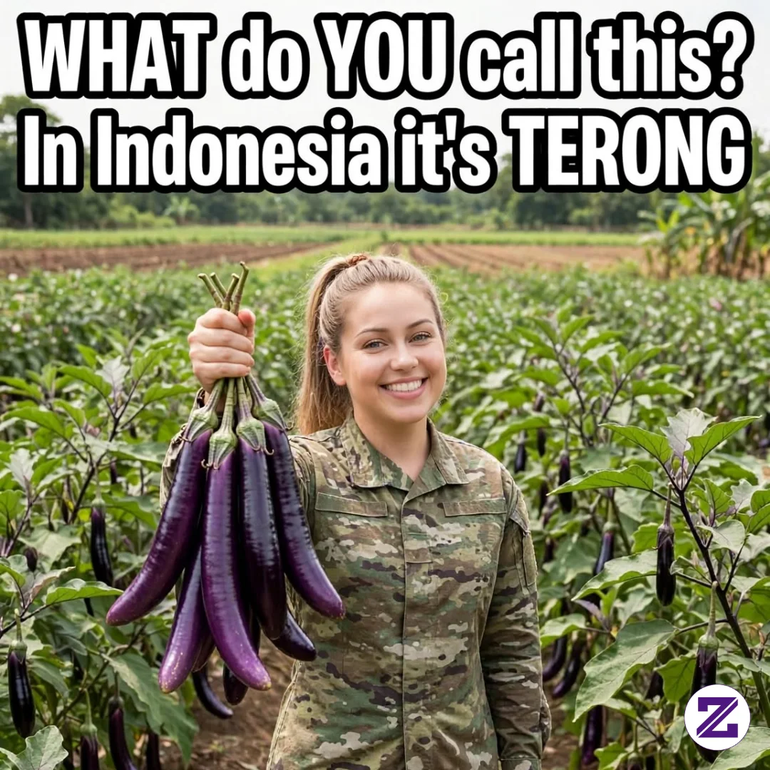 Dinegara Kamu Apa Sebutan Untuk Benda Tersebut