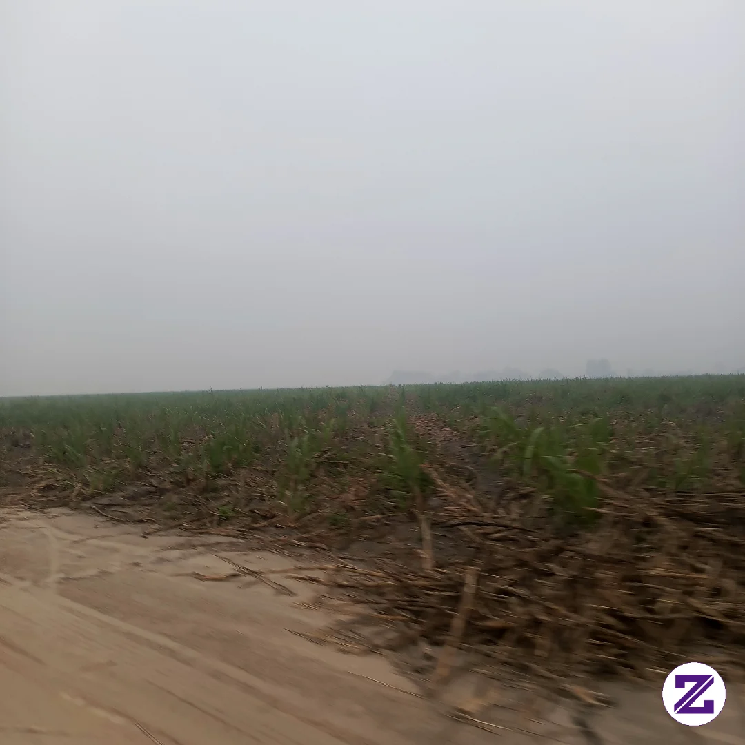 Semoga Kabut Asap Cepat Hilang Dan Di Turunkan Hujan.....