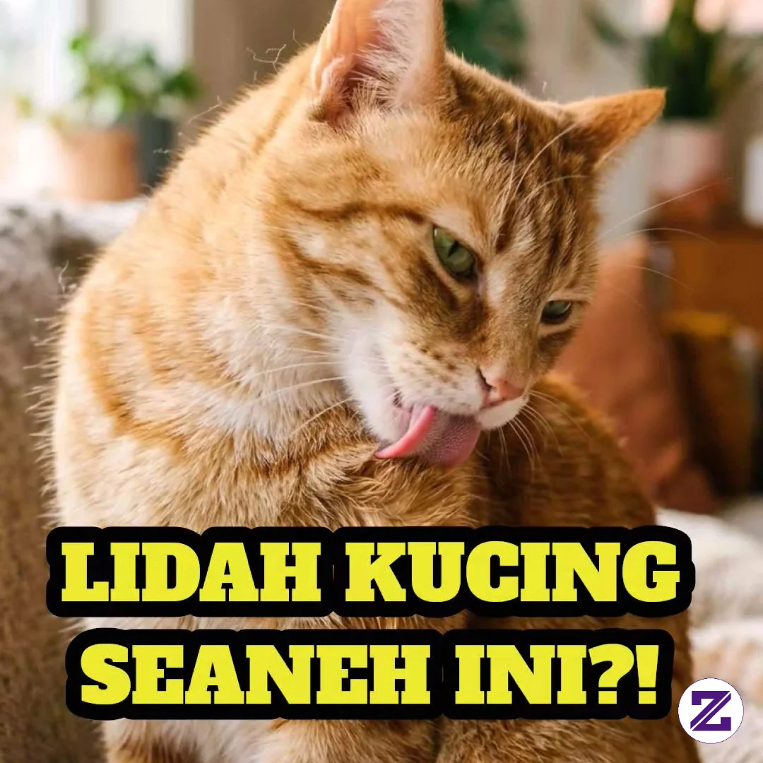 LIDAH KUCING TERNYATA AJAIB