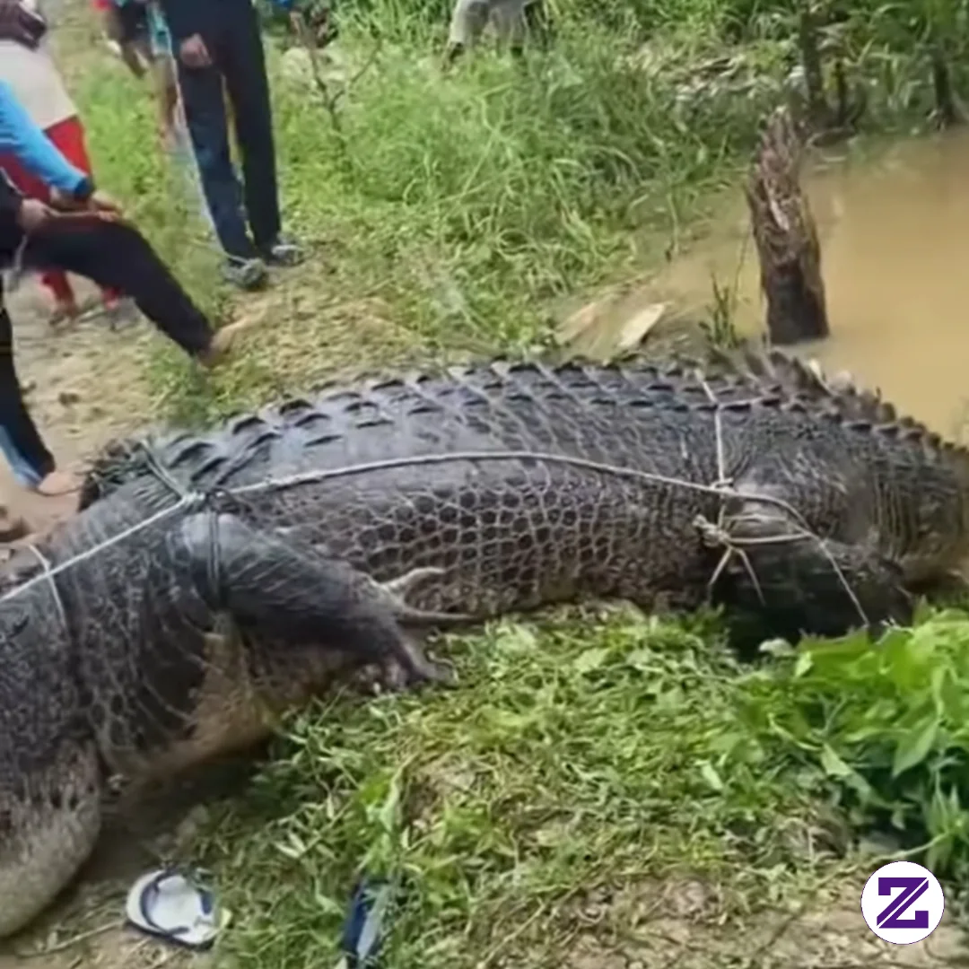 Warga Kecamatan Muara Jawa, Kabupaten Kutai Kartanegara, Kalimantan Timur