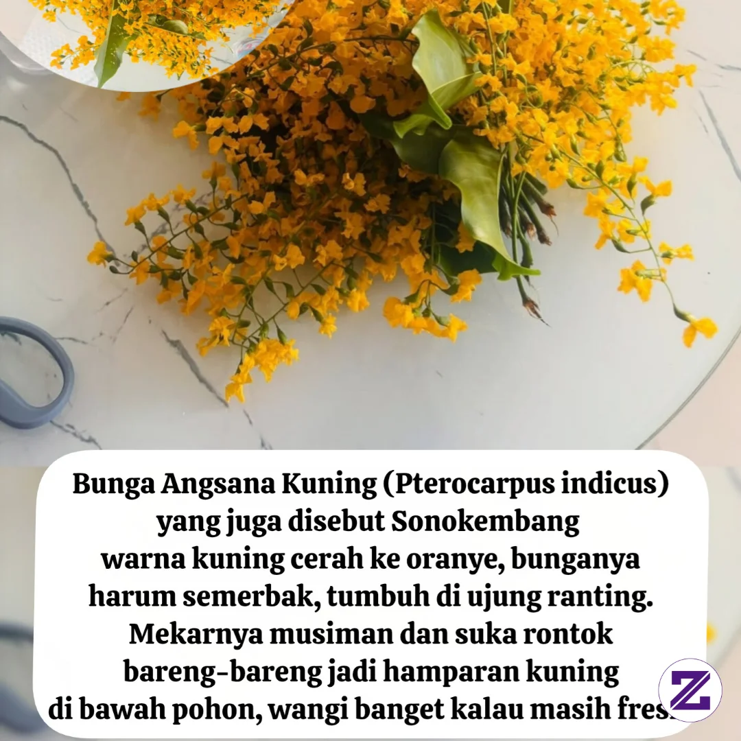 Bunga Kuning Yang Suka Bikin Salfok Di Jalan! 🌼✨