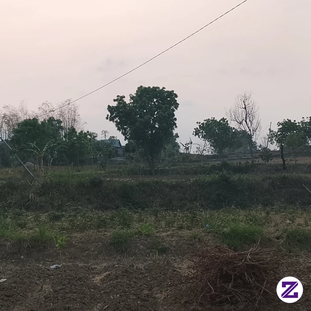 Pagi Semuanya