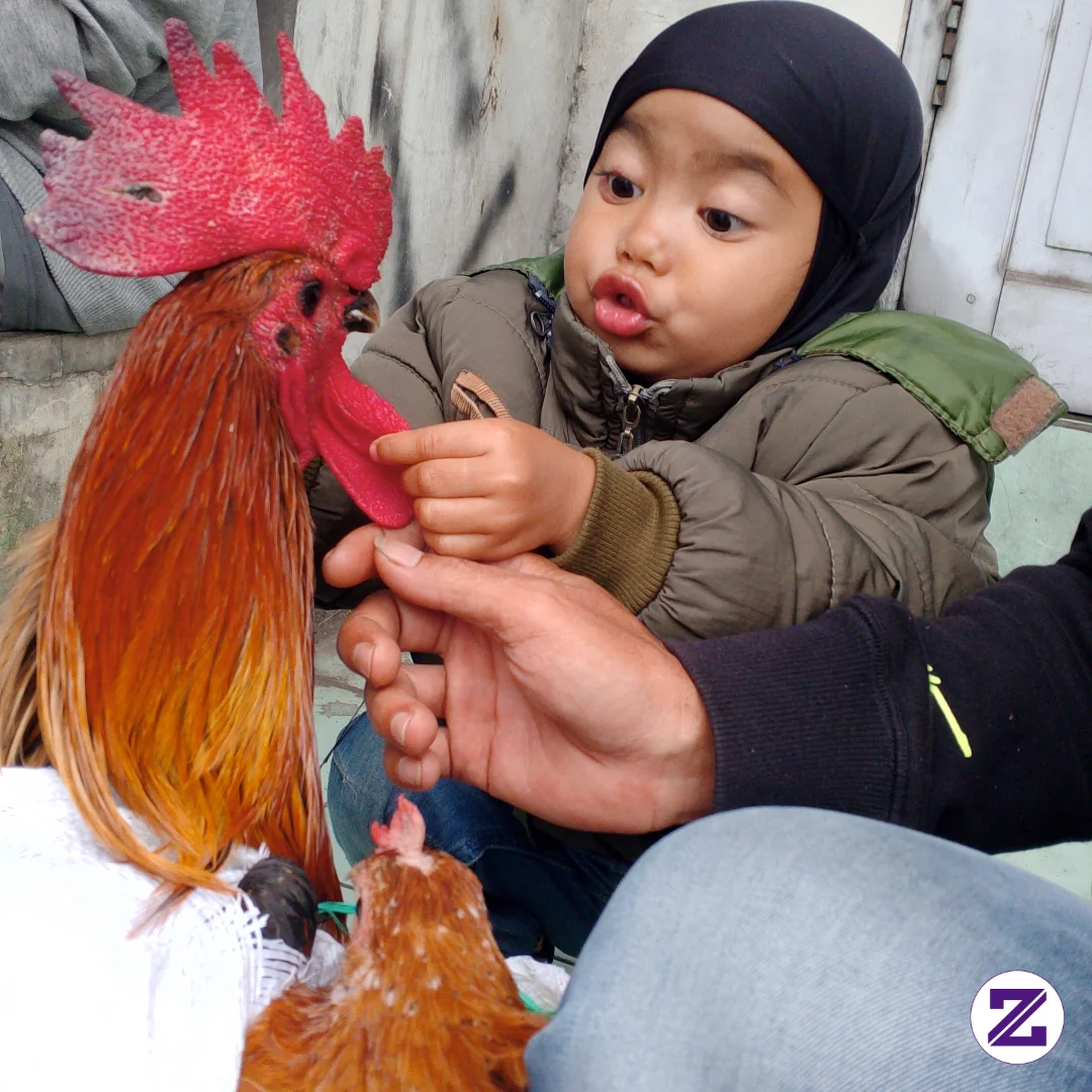 Gambar Selamat Siang kategori Umum dipublikasikan oleh Shiren Amira Wafa Santosa di Zoyalink
