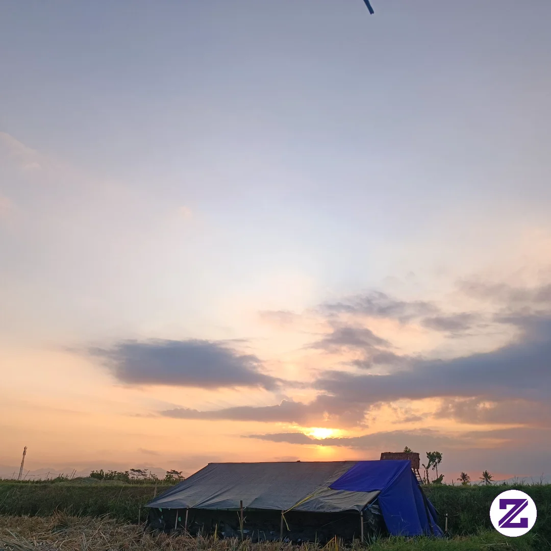 Sunset Di Pelataran Sawah Yang Sangat Indah.. !!!