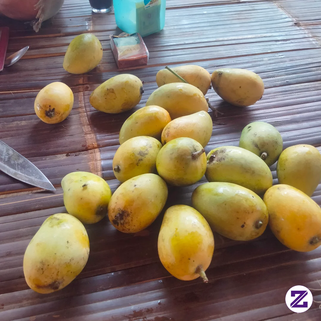 Pada Mau Ga Ges Buah Asem