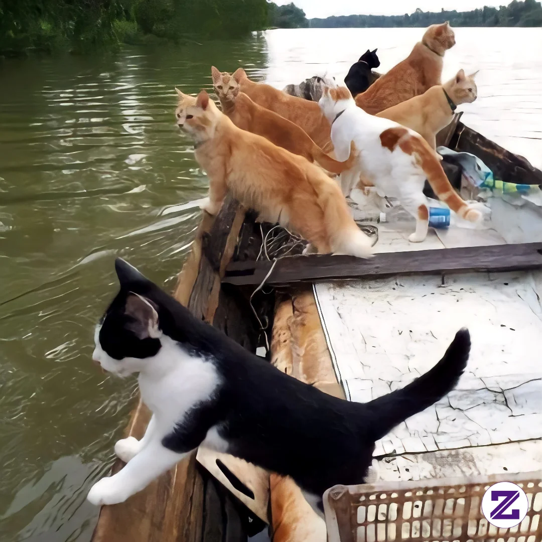 Berpetualang Mengarungi Sungai