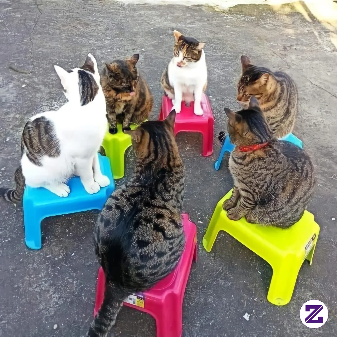 Kumpul Bersama