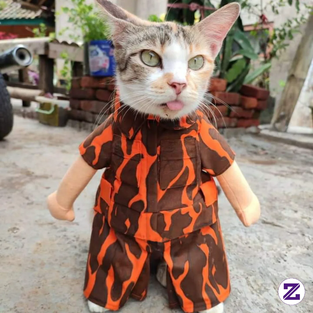 Kucing Ormas