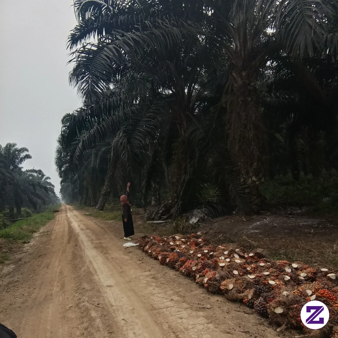 Jangan Ajak Aku Saingan