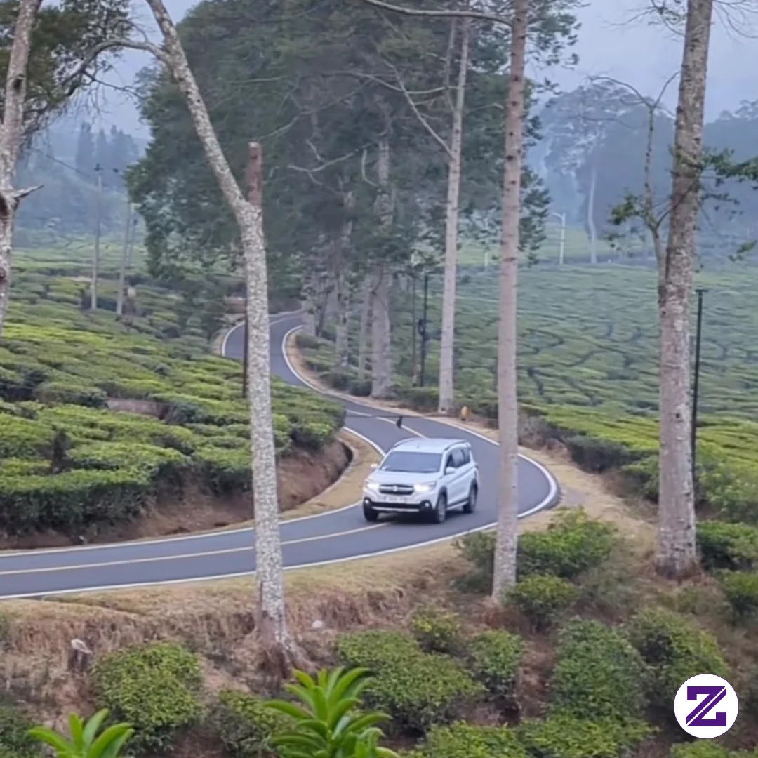 Pemandangan Yang Indah Di Waktu Kabut Di Sebuah Kebun Teh