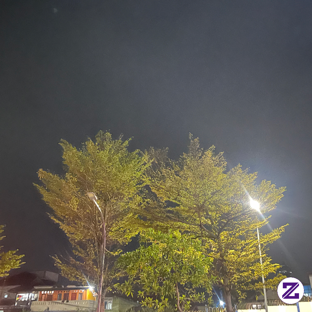 Dimalam Yang Dingin 🍃🥶