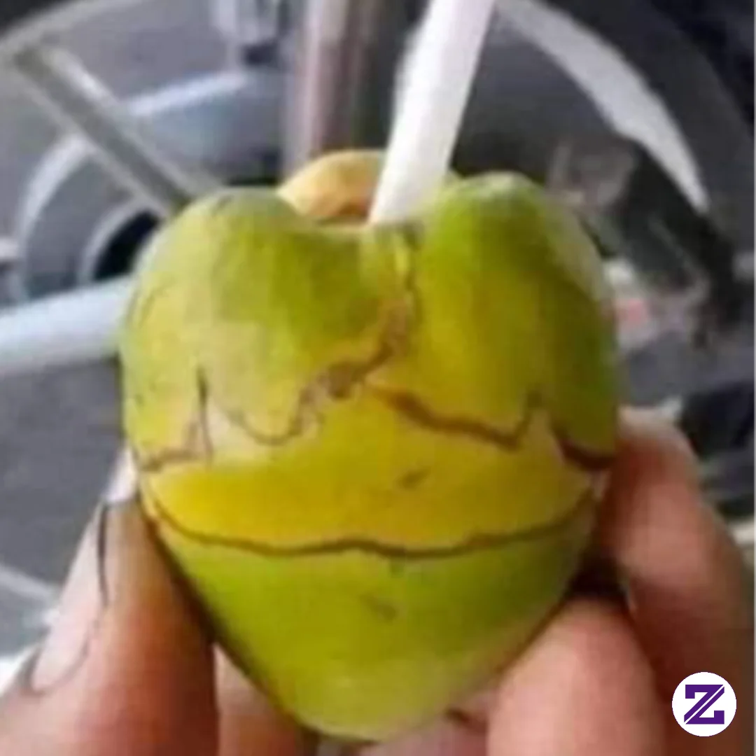 Kelapa Muda, Padahal Udah Aq Belikan Kelapa Muda, Tapi Tetap Saja Aq Yang Salah