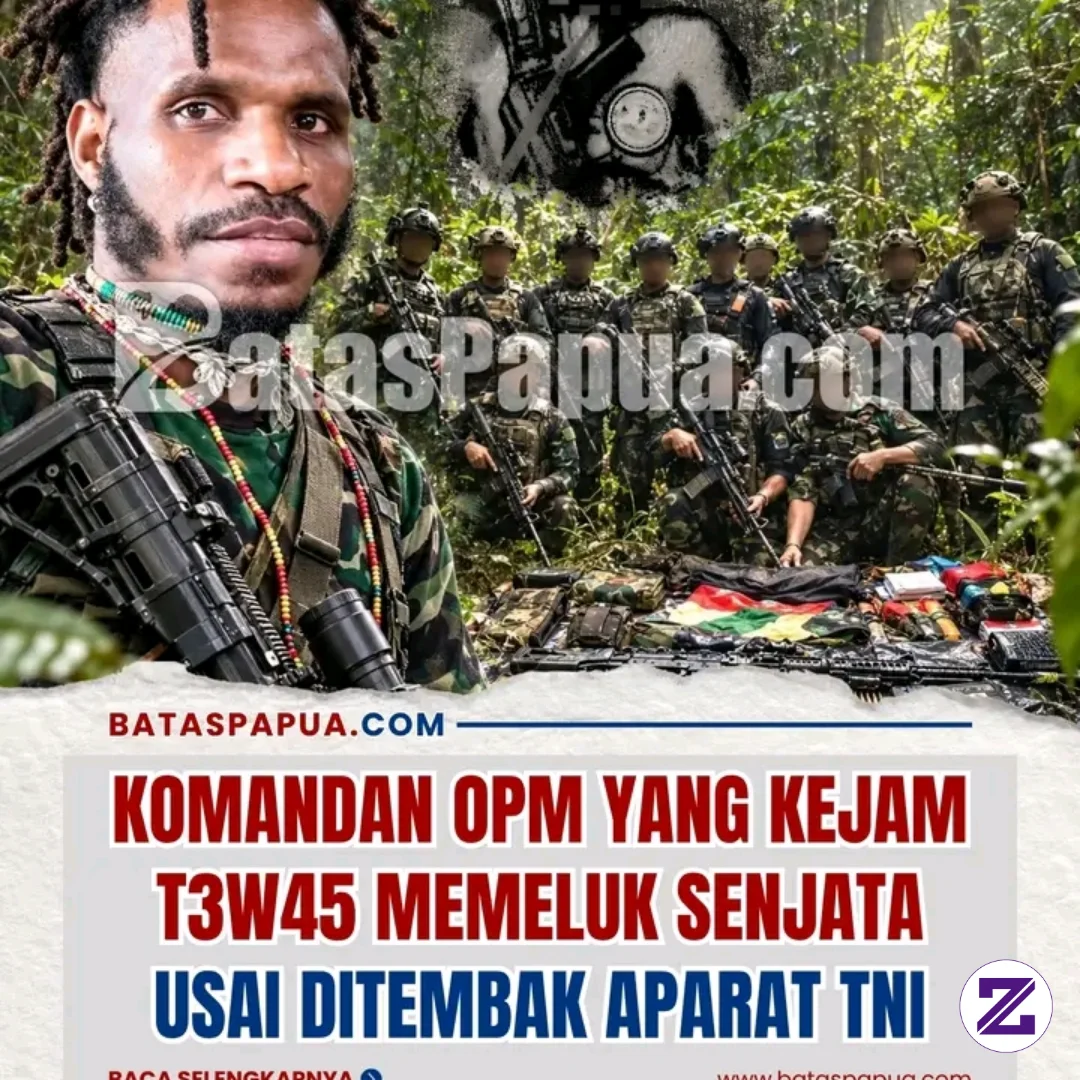 Kelompok Bersenjata Tentara Pembebasan Nasional Papua Barat–Organisasi Papua