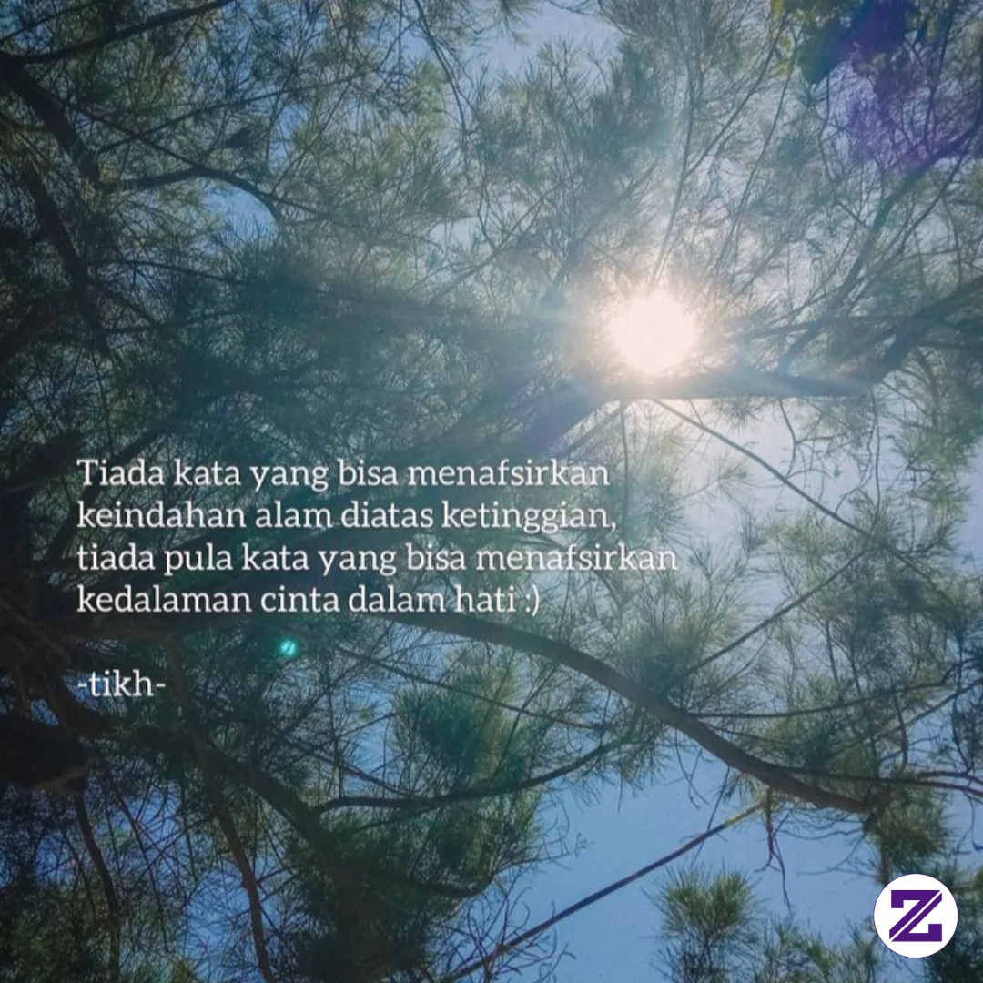 Membaca Rahasia Alam Di Antara Ranting Pinus Dan Bisikan Hati Yang Terdalam