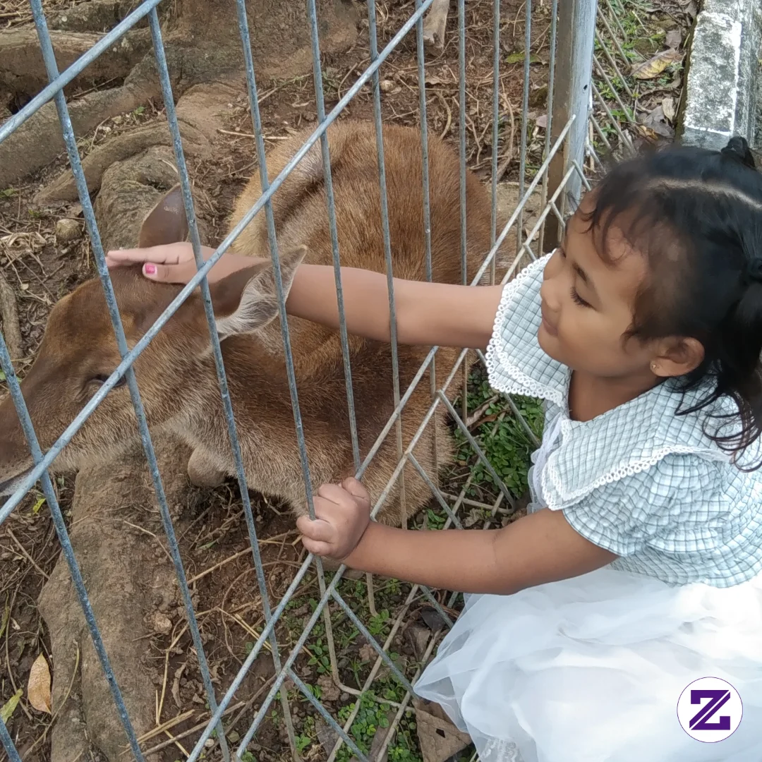 Senangnya Si Adek Bermain Dengan Rusa Merah