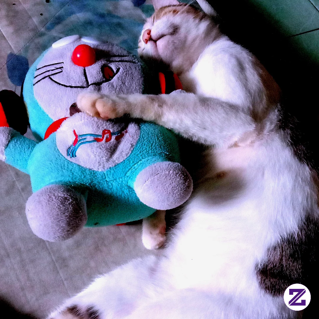 Si Kobis Dan Boneka Kesayangan