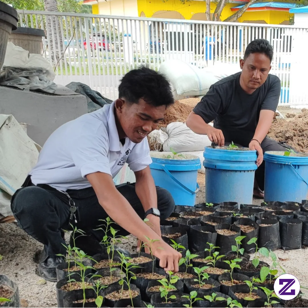 Kegiatan Menanam Benih Cabai Caplak