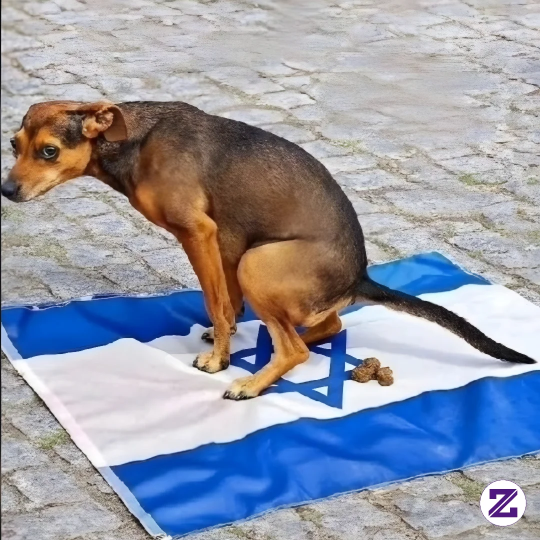 Anjing Ini Sangat Pintar, Dia Tahu Di Mana Tempat Yang Tepat Membuang Hajat
