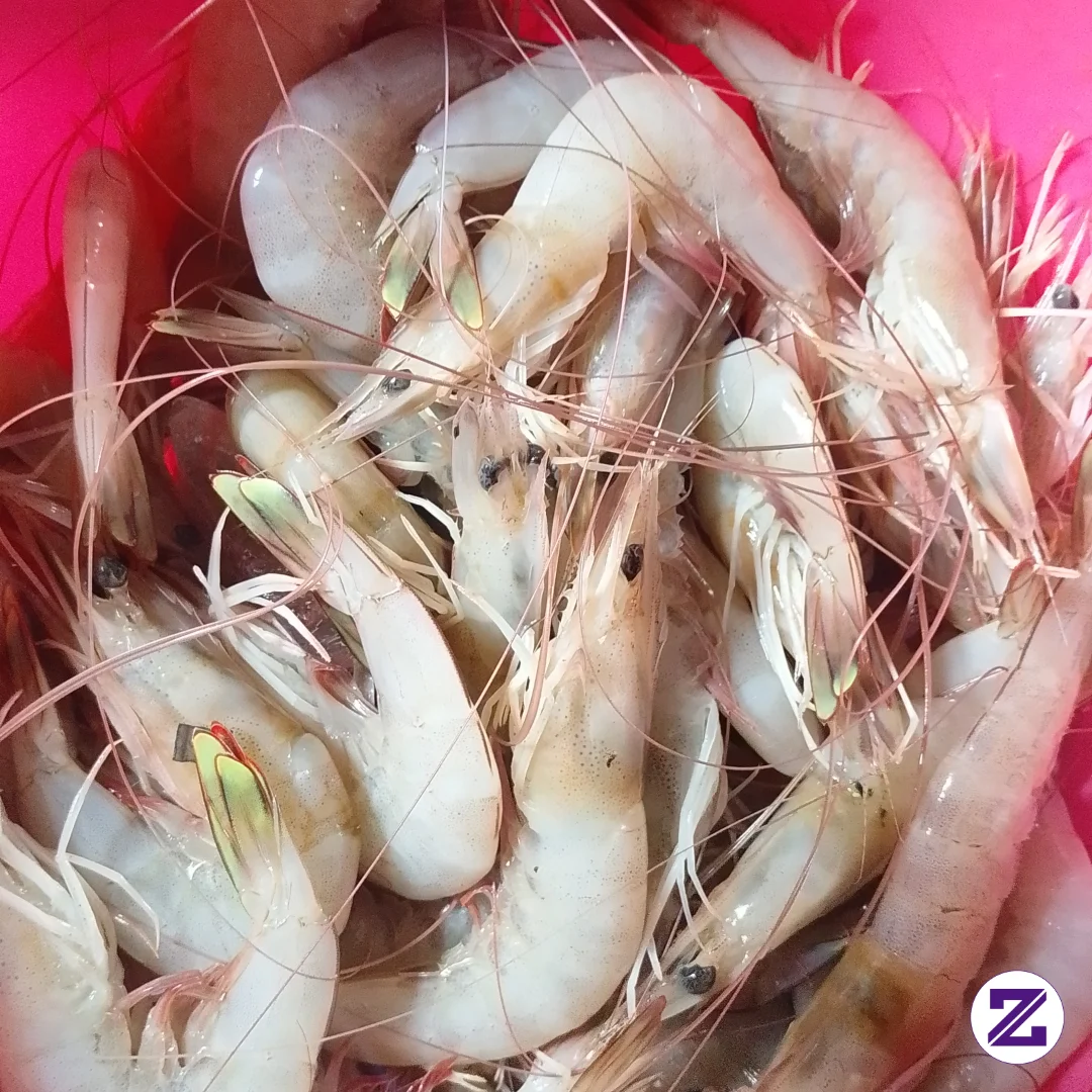Masak Udang Bestt