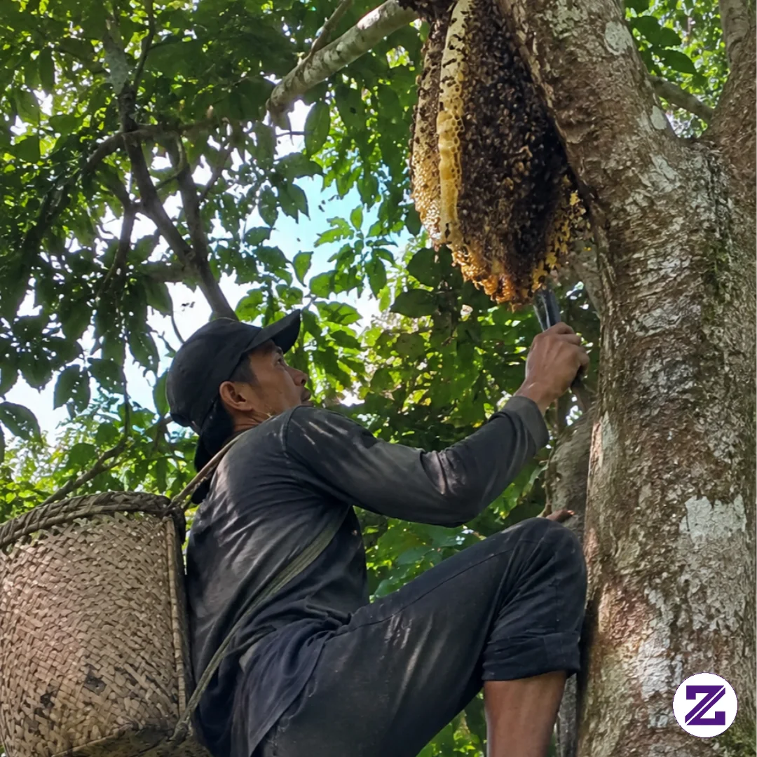 Bukti Kerja Keras Seorang Suami🥰