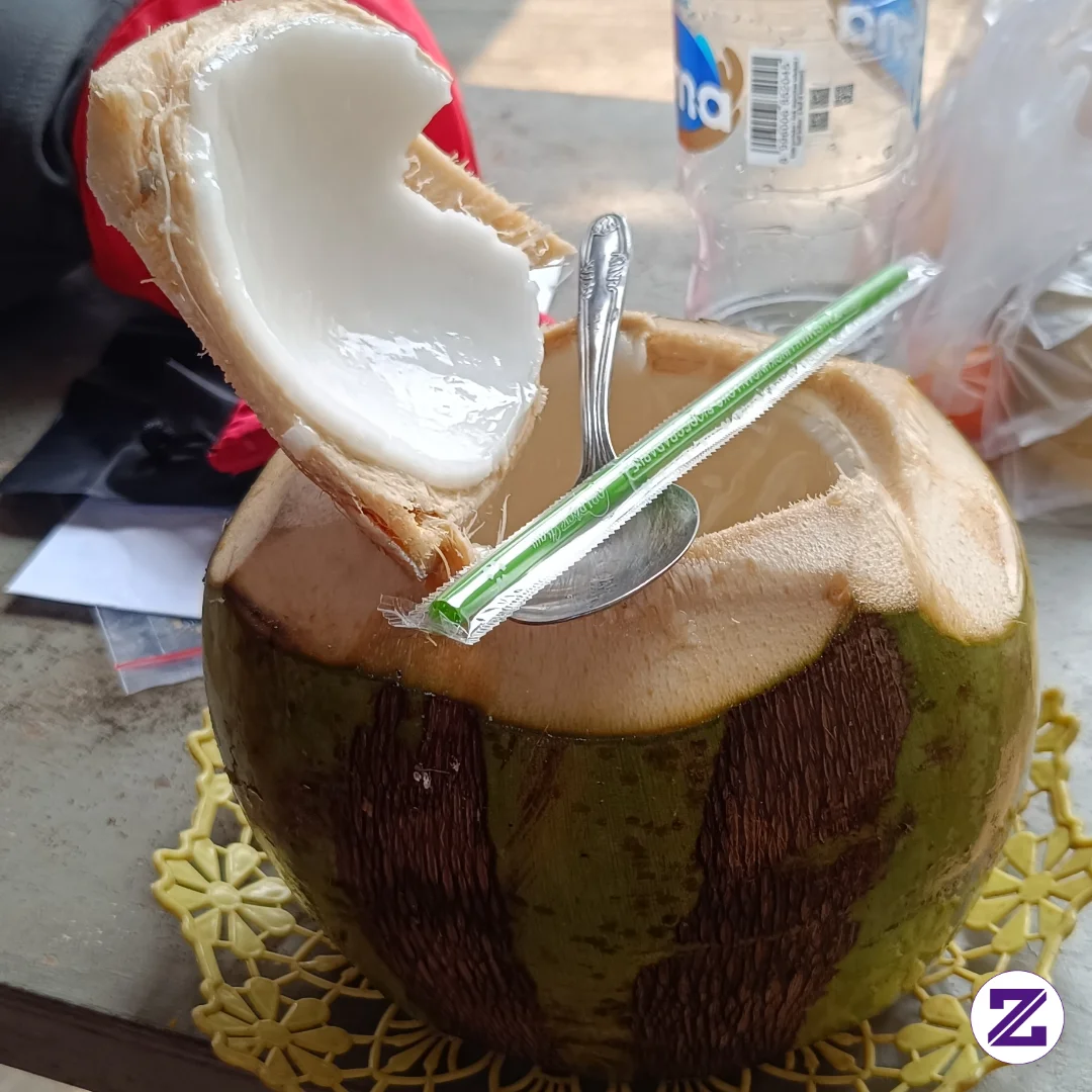 Kelapa Muda Kaya Akan Elektrolit Alami, Vitamin, Dan Antioksidan Yang Bermanfaat