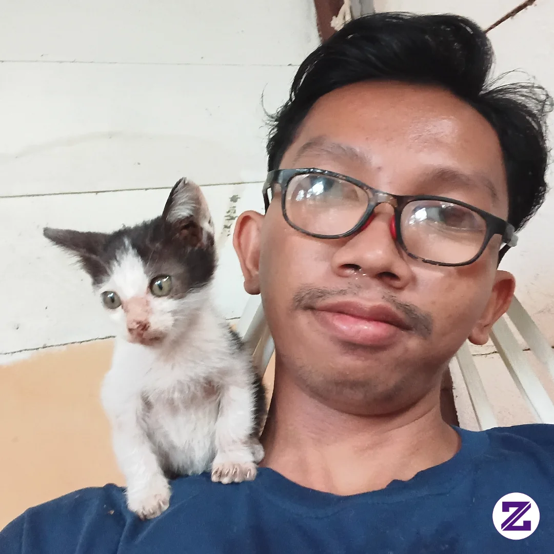 Kalian Suka Kucing?