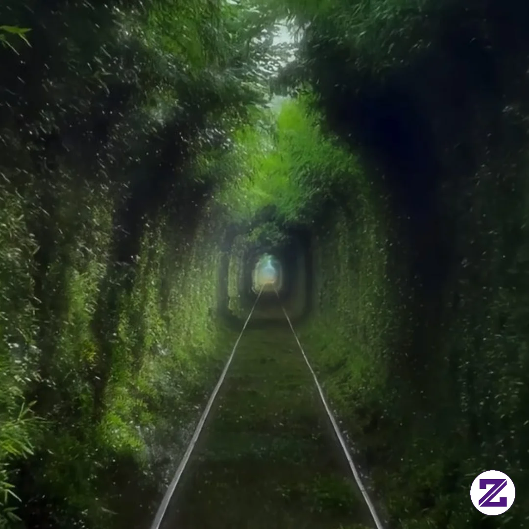 Where Nature Builds It's Own Path