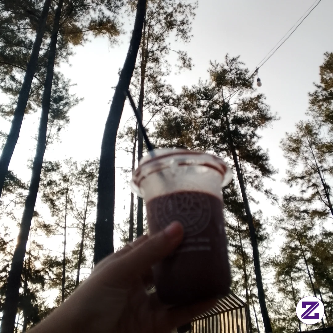 Pemandangan Sore Hari Di Kemit Forest
