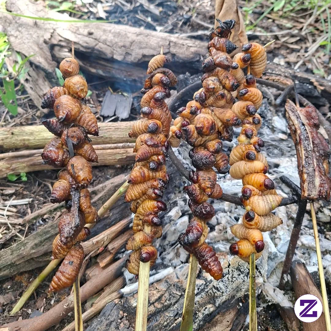 Apakah Kamu Tau Ini Apa ? Ini Adalah...