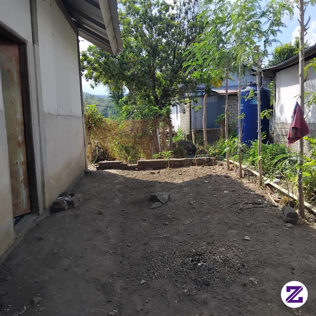 Ada Lahan Kosong Di Blakang Rumah.