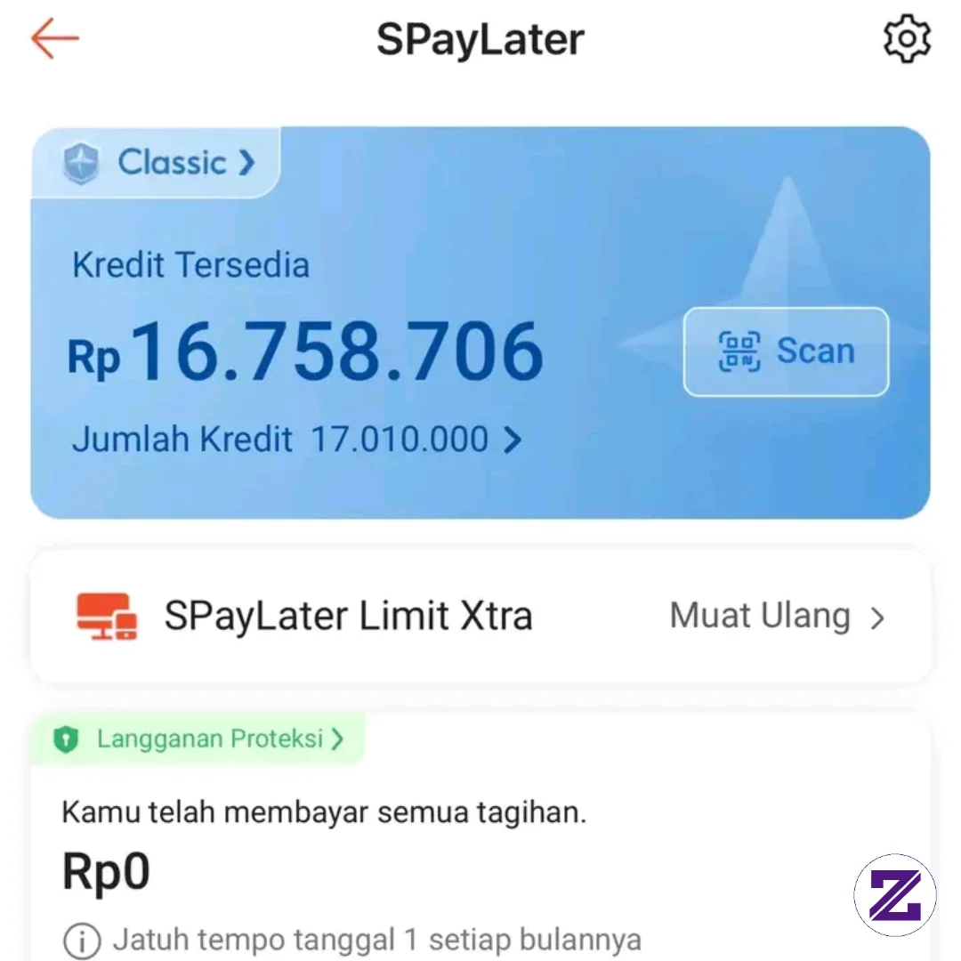 Info Kak Apa Bisa Dibantu Buat Cairkan Shopee Pay Latter