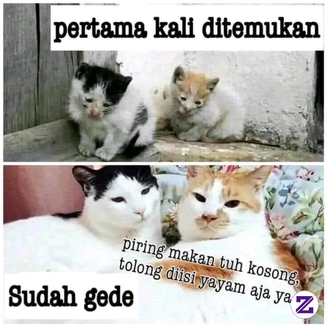 Dipertemukan image by Tri Norhadi