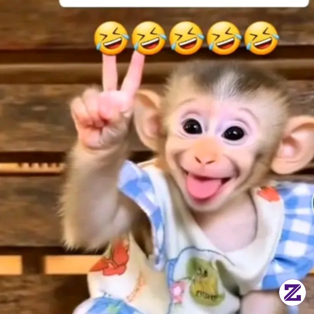 Goyang 2 Jari