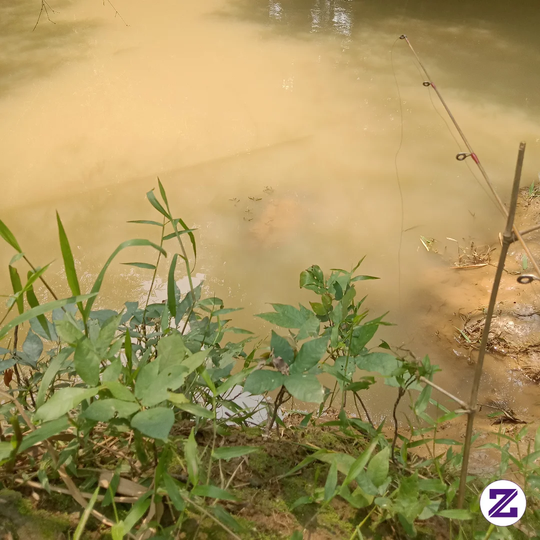 Mancing Dulu Kawan Biar Gak Penat Pikiran. Apalagi Kalau Ada Ikan Yang Nyambar