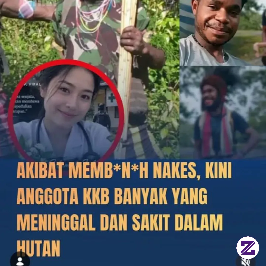 Gugurnya Nakes Gabriella Oleh Kelompok KKB
