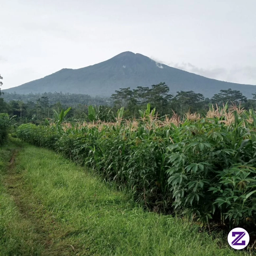 Alam Tidak Pernah Terburu-buru, Tetapi Selalu Berhasil Menciptakan Keindahan.