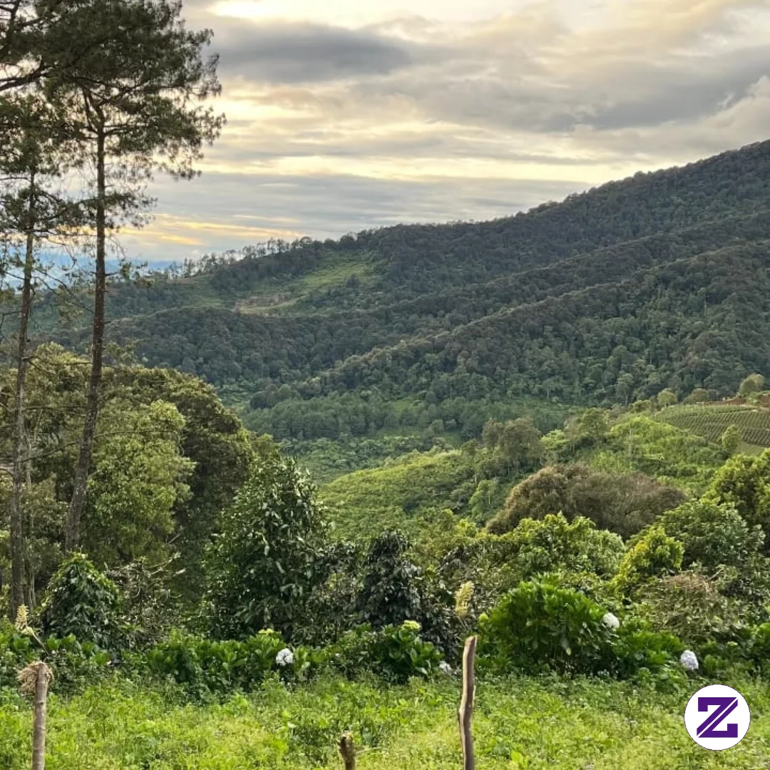 Pemandangan Yang Sangat Indah