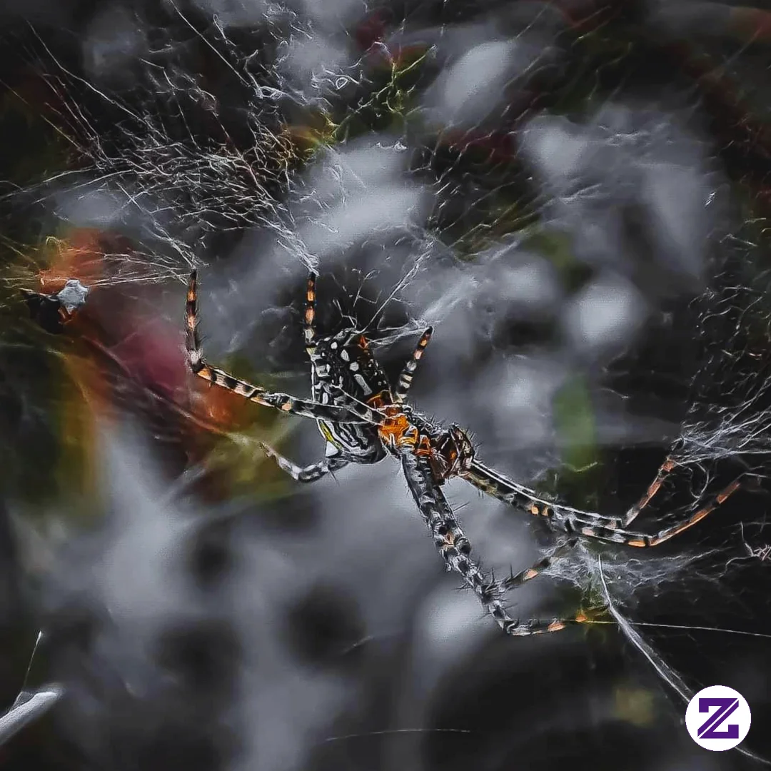🕷️ 5 FAKTA UNIK TENTANG LABA-LABA YANG JARANG DISADARI! NOMOR 4 MEMBUKTIKAN