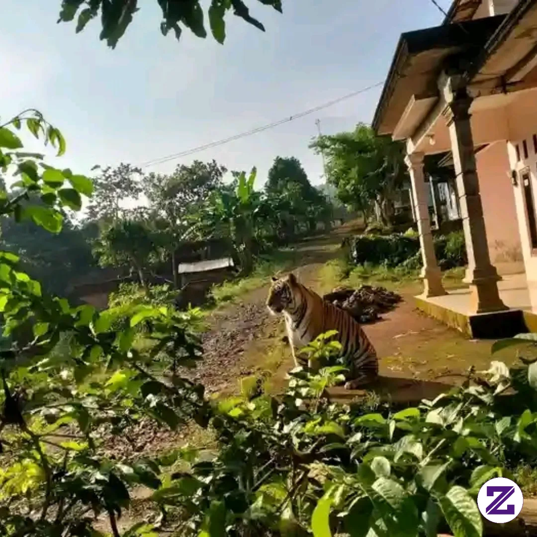 Ada Yang Berjemur Tapi Bukan Manusia..