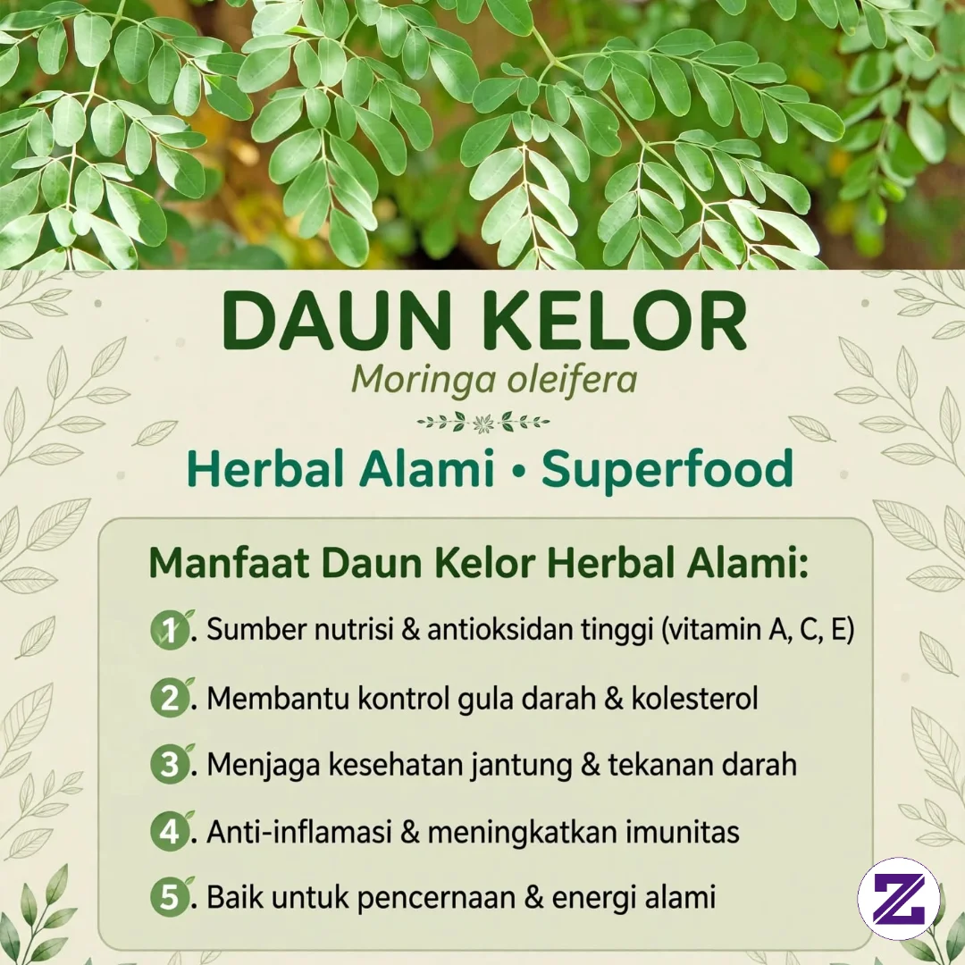 Dijuluki "Miracle Tree", Tapi Sering Dibiarkan Rontok Di Halaman... - Edukasi - Sulusul Imawan