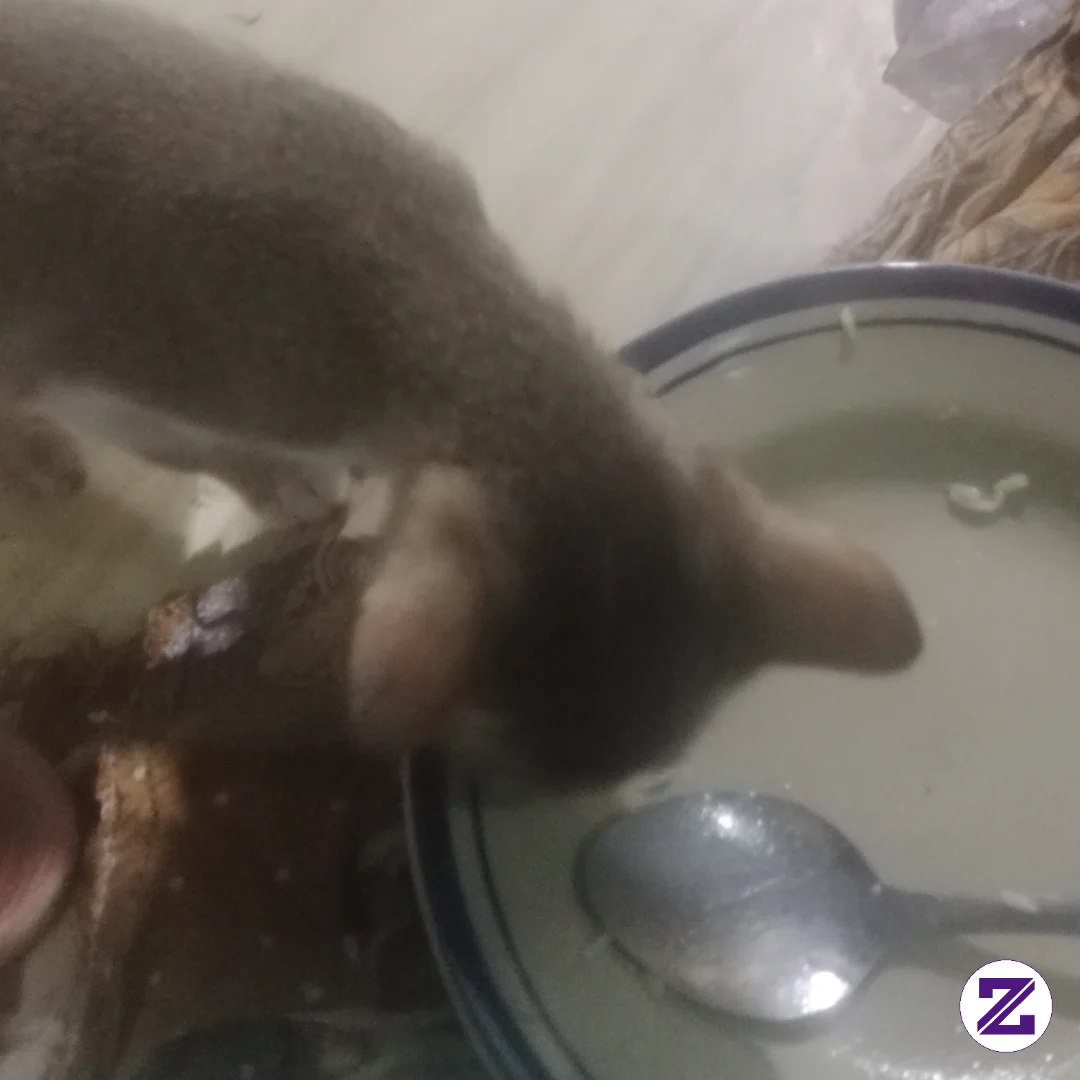Bersyukur Untuk Nikmat Yg Kita Dapat Hri In