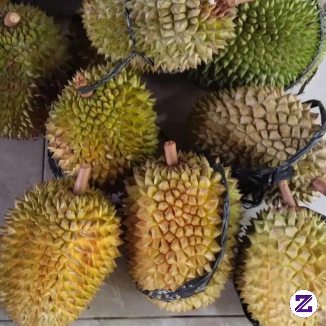 Kalau Musim Duren Enak Nyah🤫