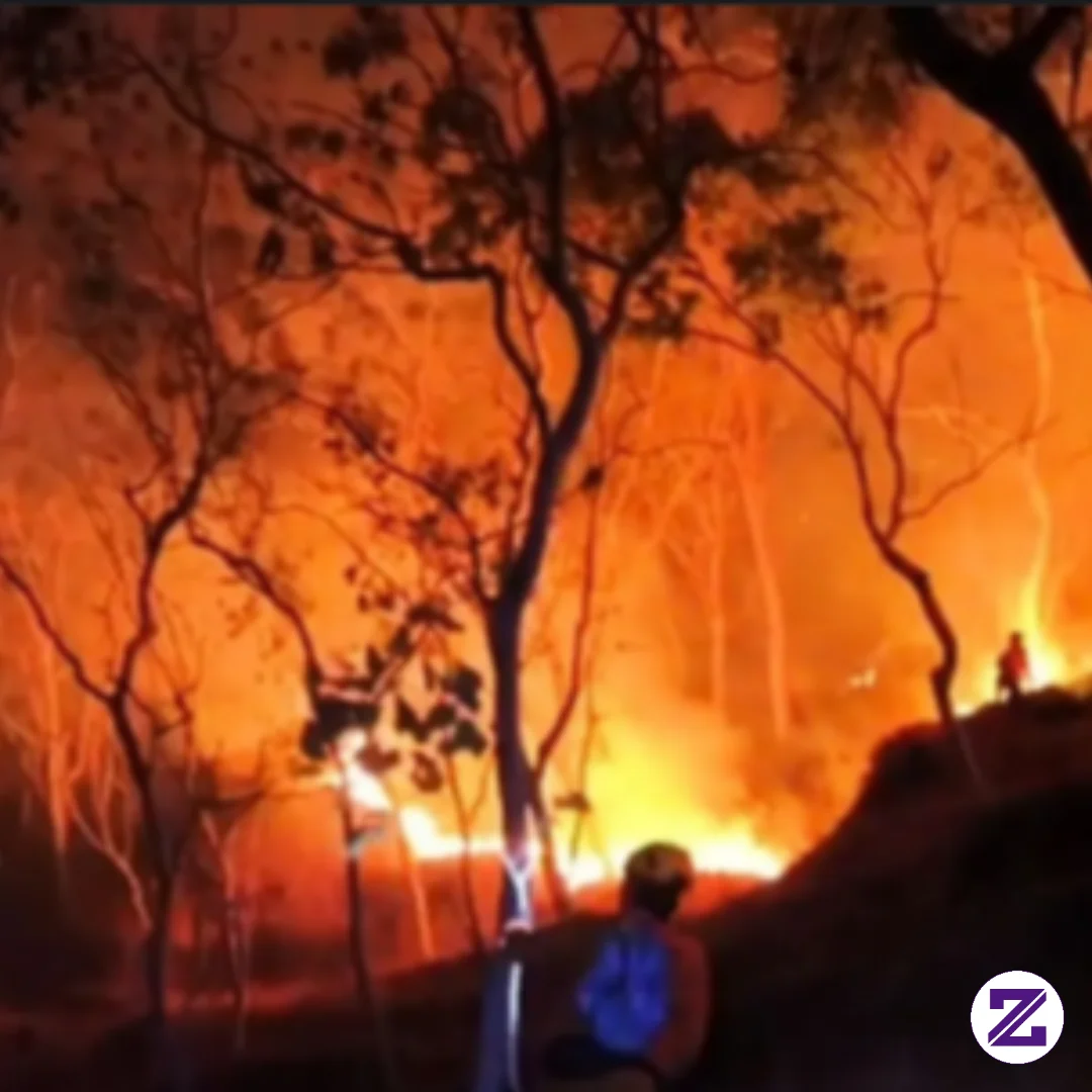Ayolah... Sadar Manusia.. Jgn Bakar Hutan! Udah Musim Kemarau Malah Bakar Hutan