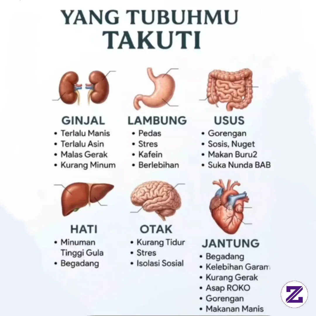 Kesehatan Itu Penting!! Jangan Tunggu Tubuh Memberi Peringatan ⚠️ Tubuh Kita..