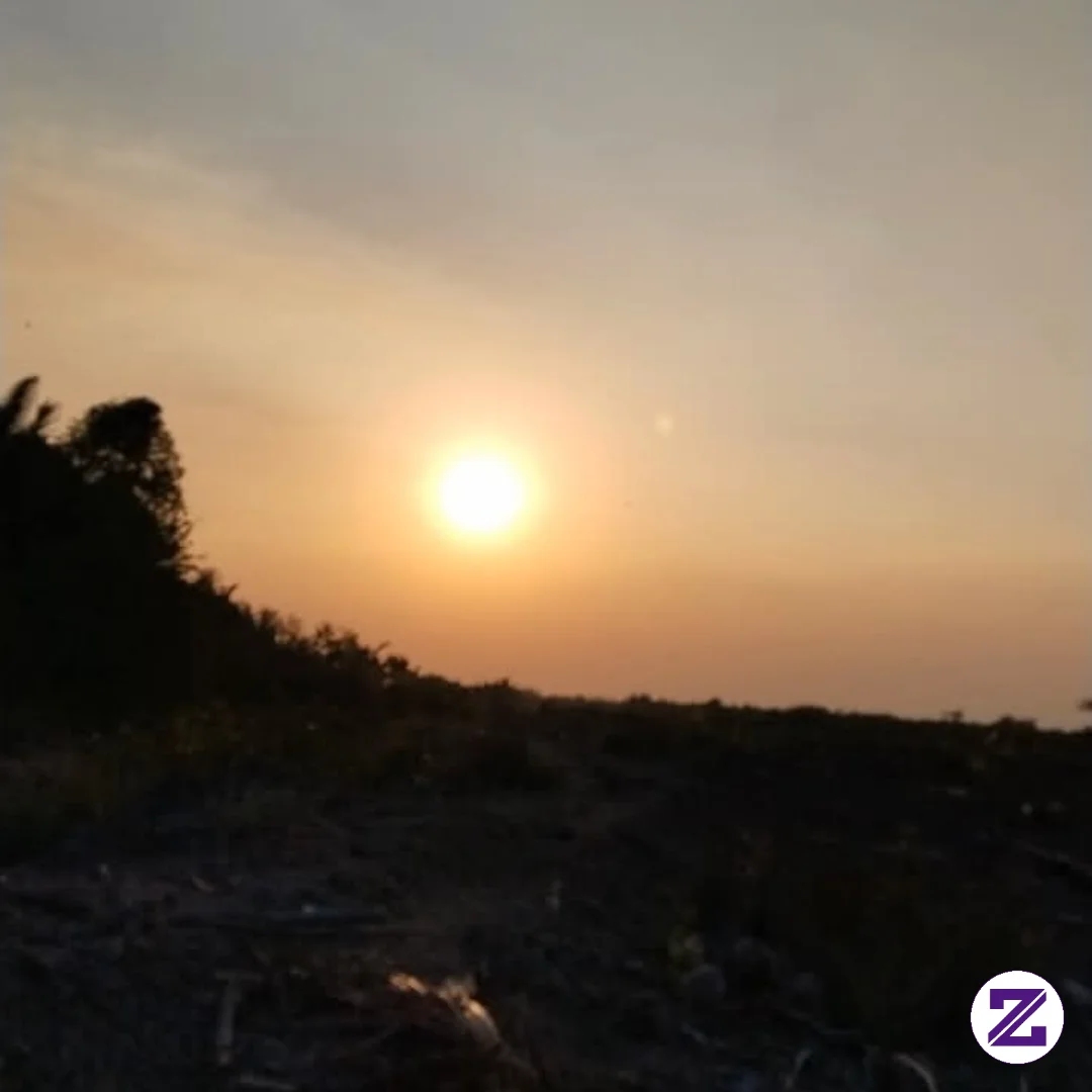 Hal-hal Sederhana Seringkali Yang Paling Menenangkan 🤍