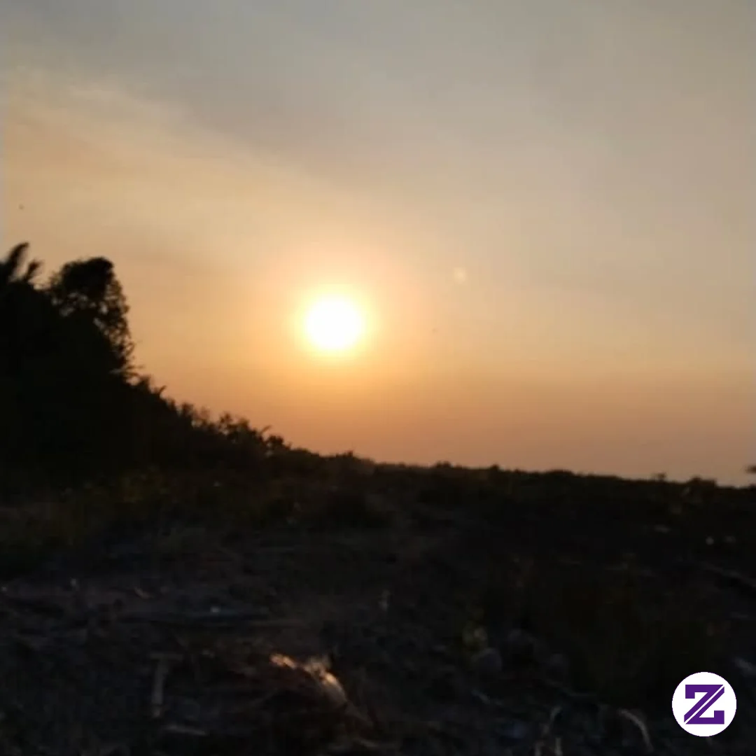 Tidak Semua Harus Sekarang, Tapi Semua Harus Dimulai Dari Sekarang..