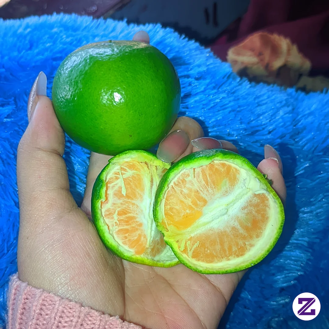 Pagi-pagi Nyemil Yang Asem-Asem 🍊😖