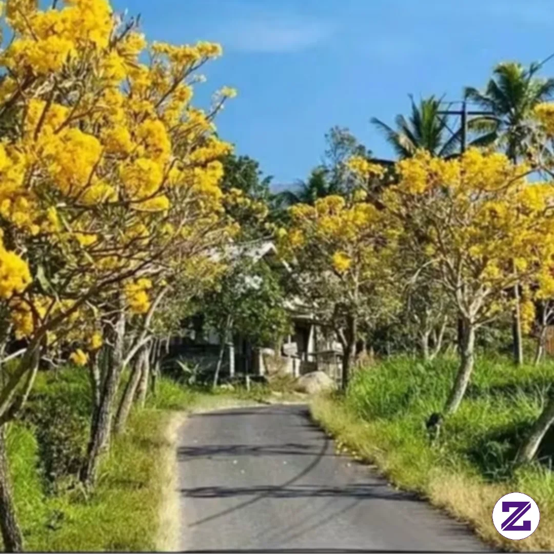 Bunga Apakah Ini?